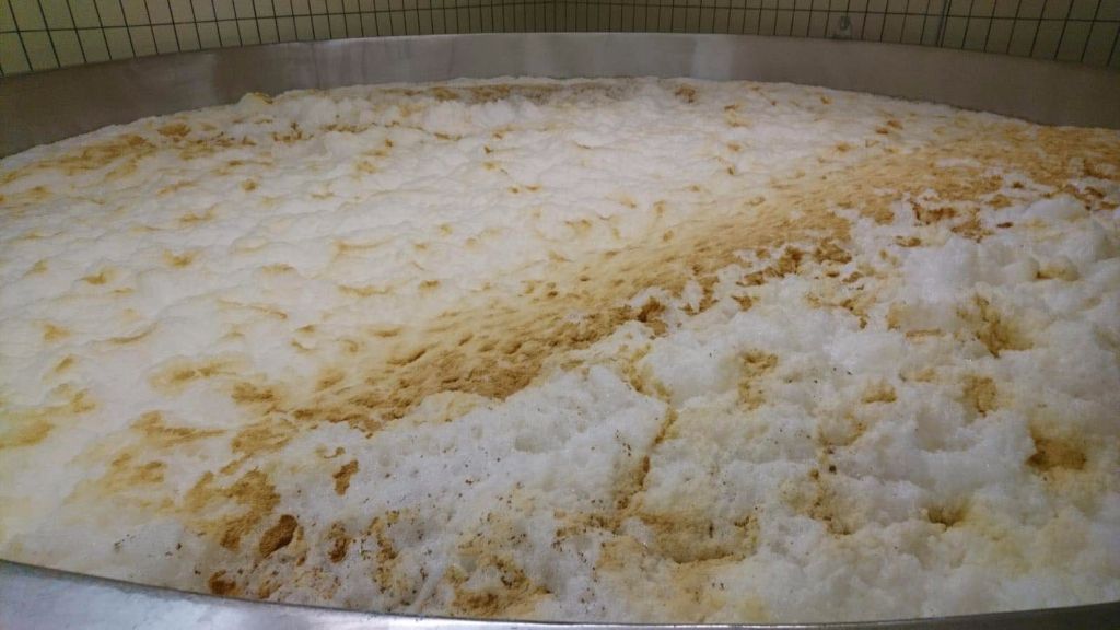 發(fā)酵啤酒可以不使用啤酒酵母嗎？